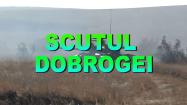 Emisiunea Scutul Dobrogei din data 24.08.2025